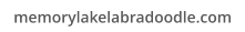 memorylakelabradoodle.com