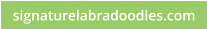signaturelabradoodles.com